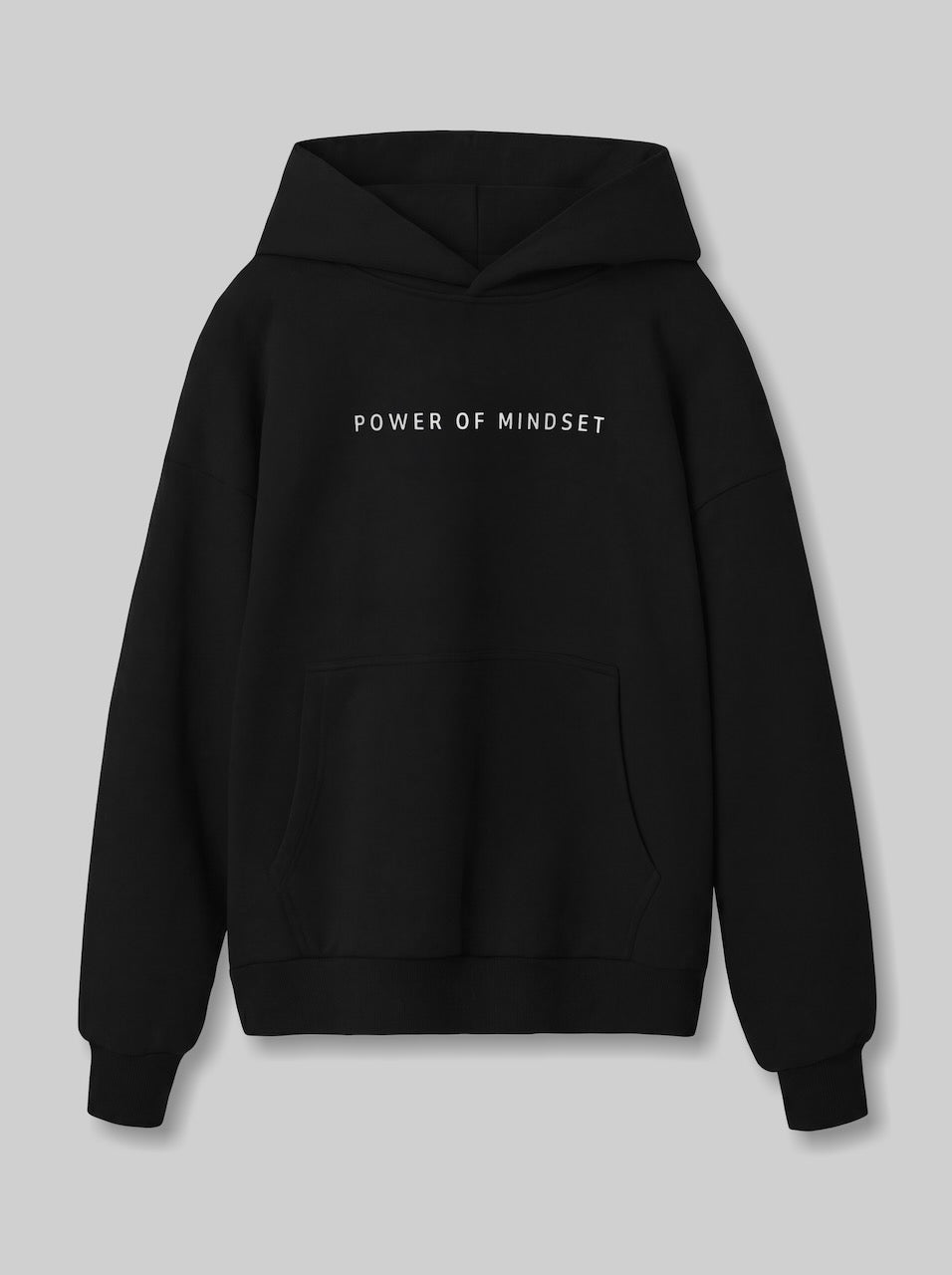 Heavy Fleece Hoodie—Globe